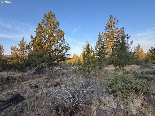 Canvasback Drive 6 Property Photo 5