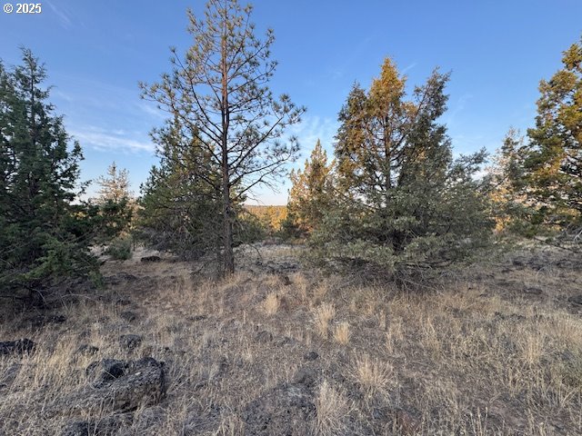 Canvasback Drive 6 Property Photo 6