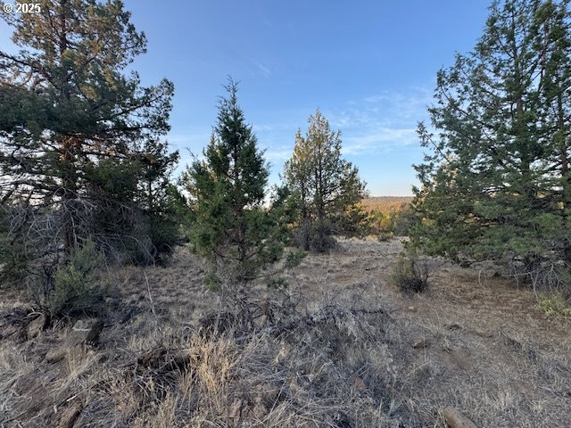 Canvasback Drive 6 Property Photo 8
