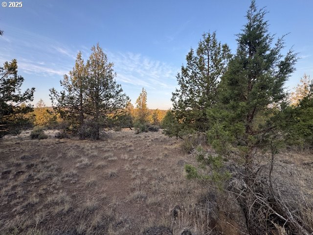 Canvasback Drive 6 Property Photo 9