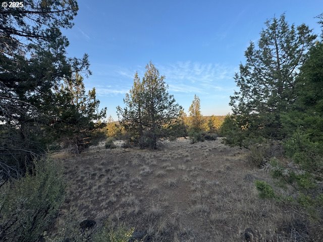 Canvasback Drive 6 Property Photo 10