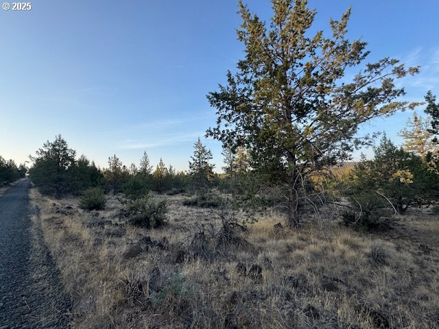 Canvasback Drive 6 Property Photo 12
