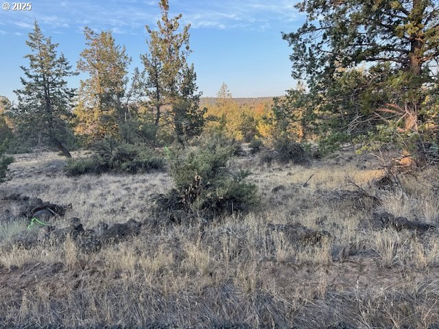 Canvasback Drive 6 Property Photo 16