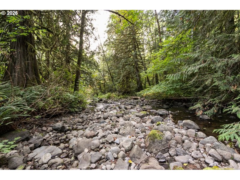 47100 Se Pheasant Meadow Rd Property Photo 8