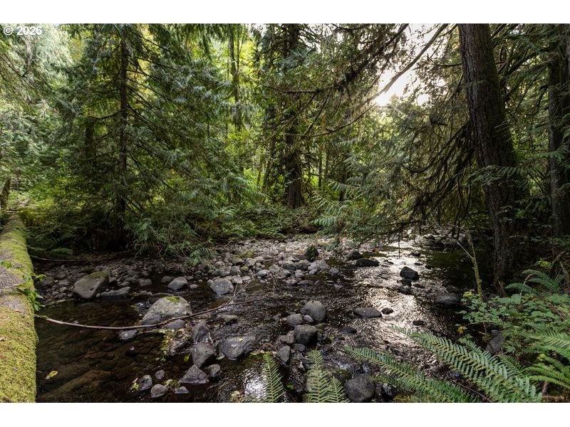 47100 Se Pheasant Meadow Rd Property Photo 9