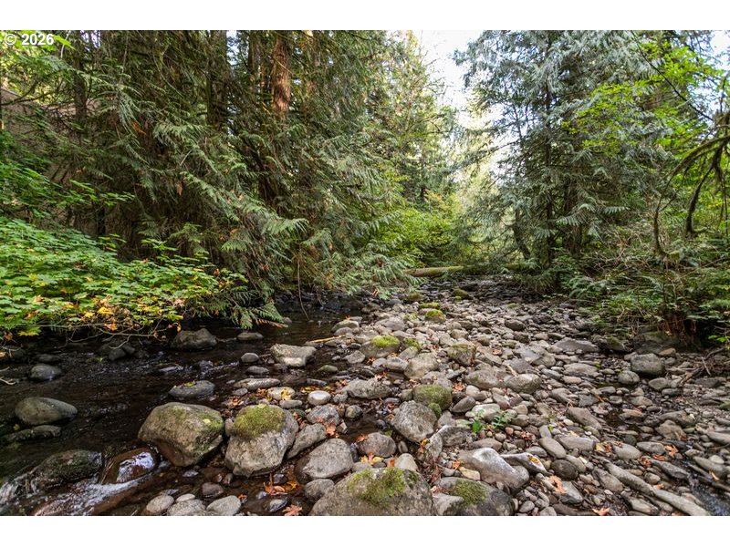47100 Se Pheasant Meadow Rd Property Photo 10