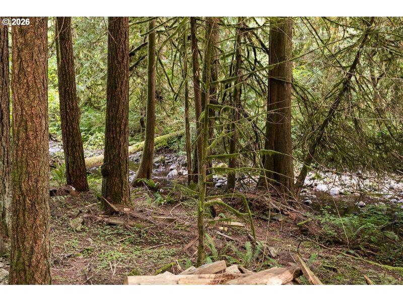 47100 Se Pheasant Meadow Rd Property Photo 11