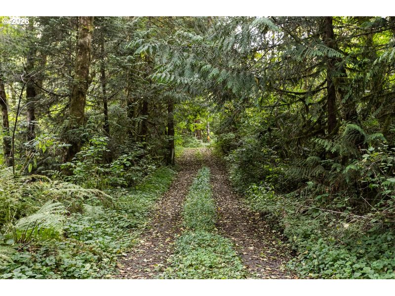 47100 Se Pheasant Meadow Rd Property Photo 14