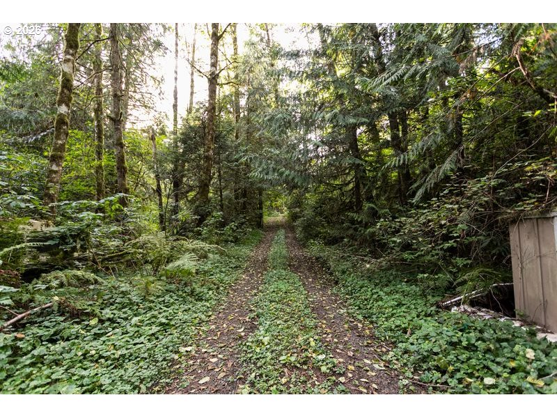 47100 Se Pheasant Meadow Rd Property Photo 16