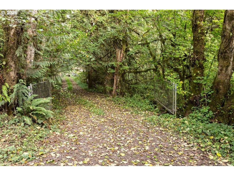 47100 Se Pheasant Meadow Rd Property Photo 18