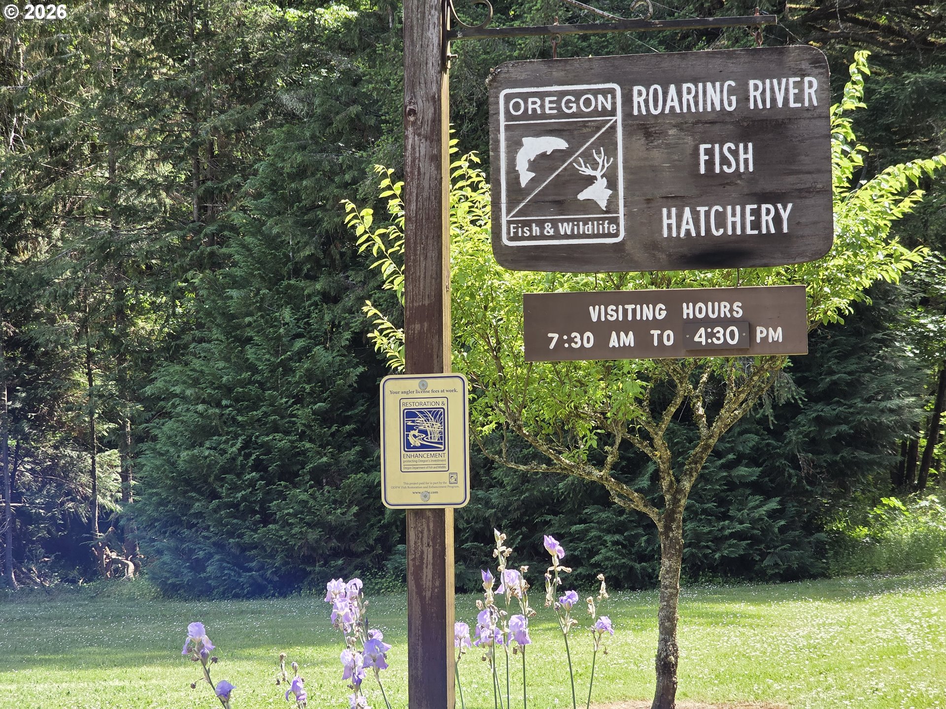 00 Fish Hatchery Dr Property Photo 3