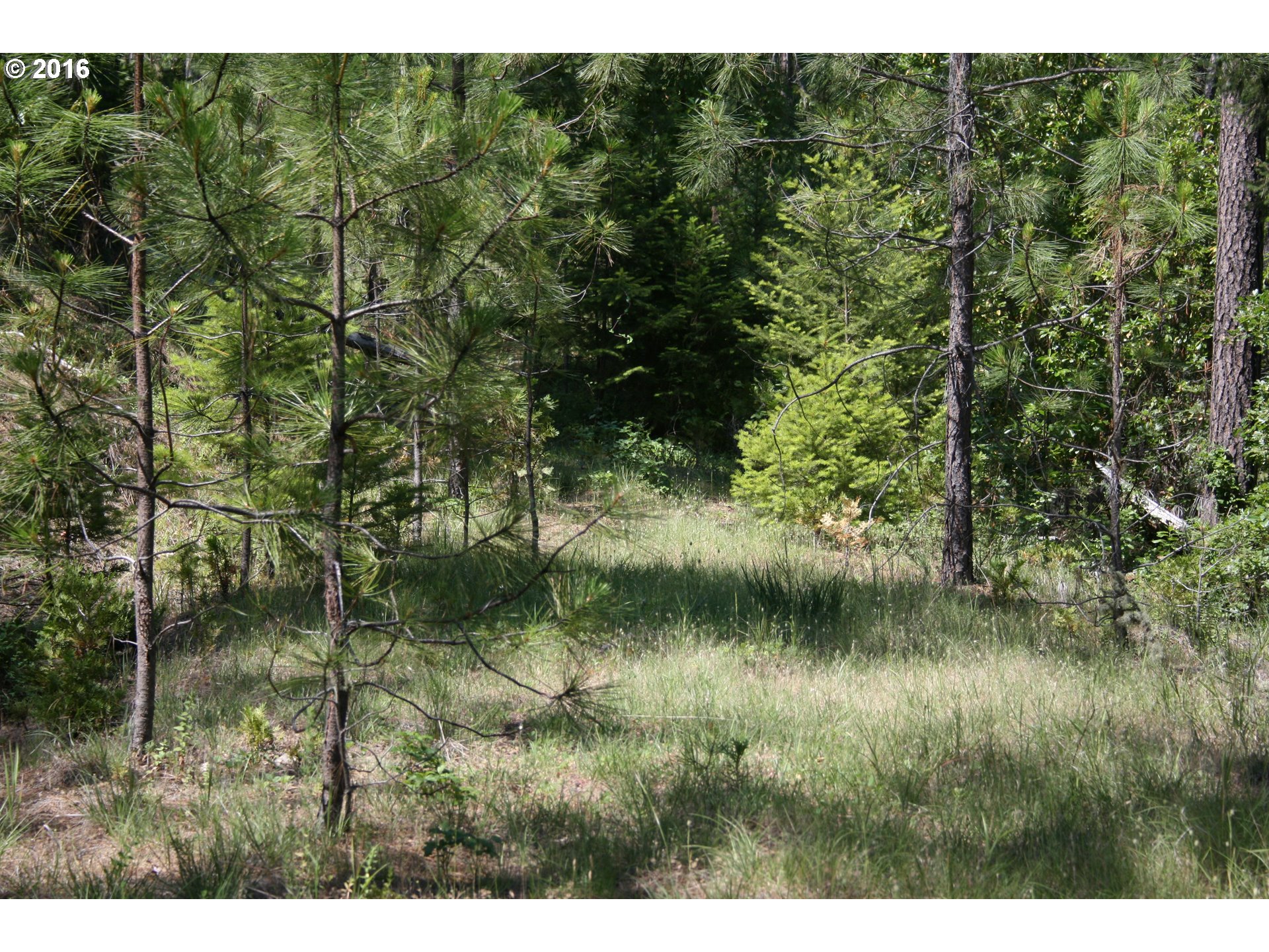 0 Citadel Rd Property Photo 2