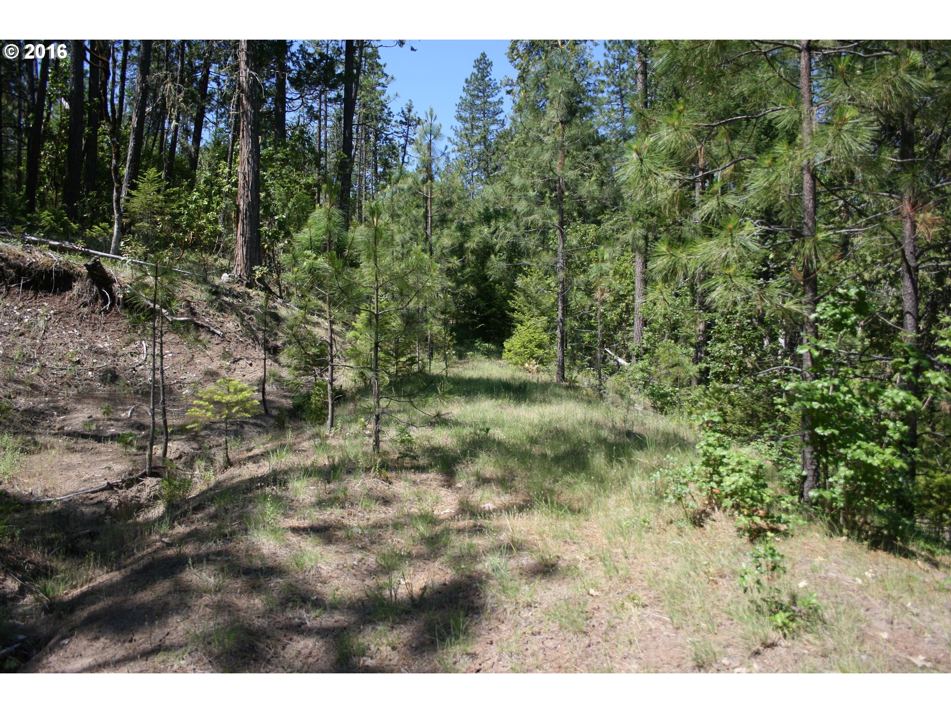 0 Citadel Rd Property Photo 3