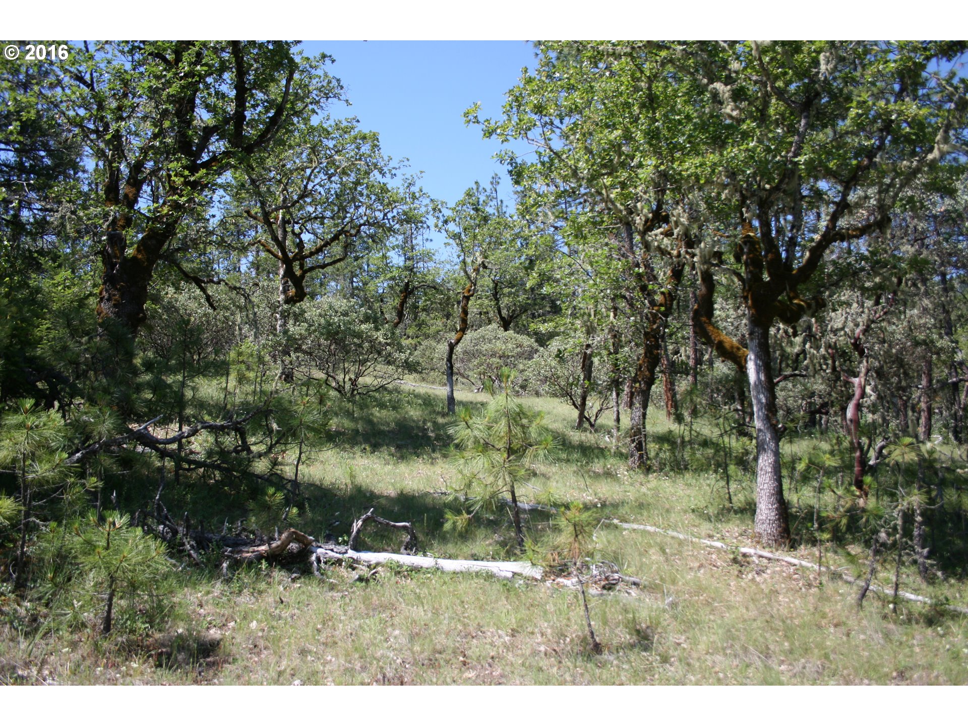 0 Citadel Rd Property Photo 4