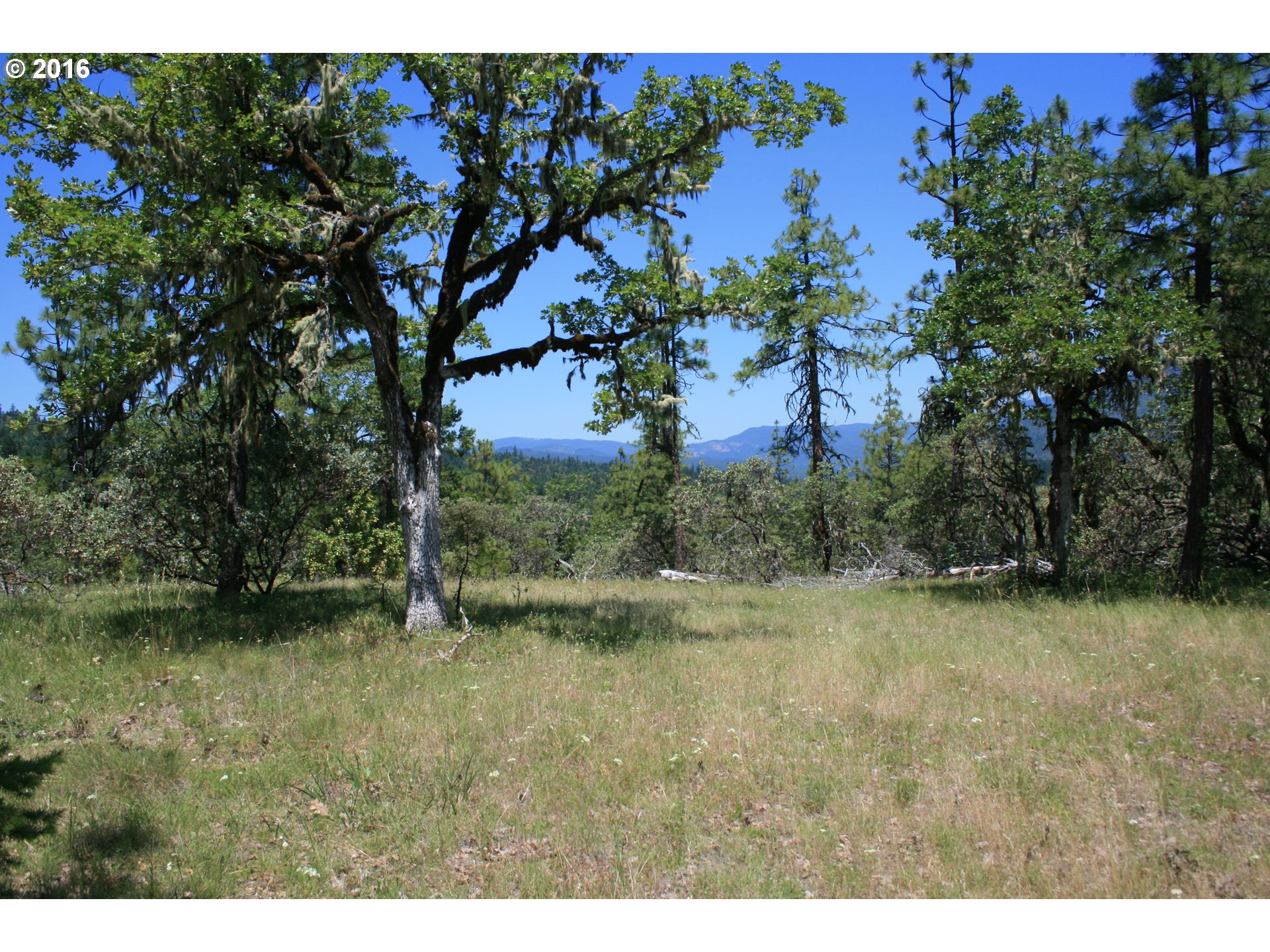 0 Citadel Rd Property Photo 10