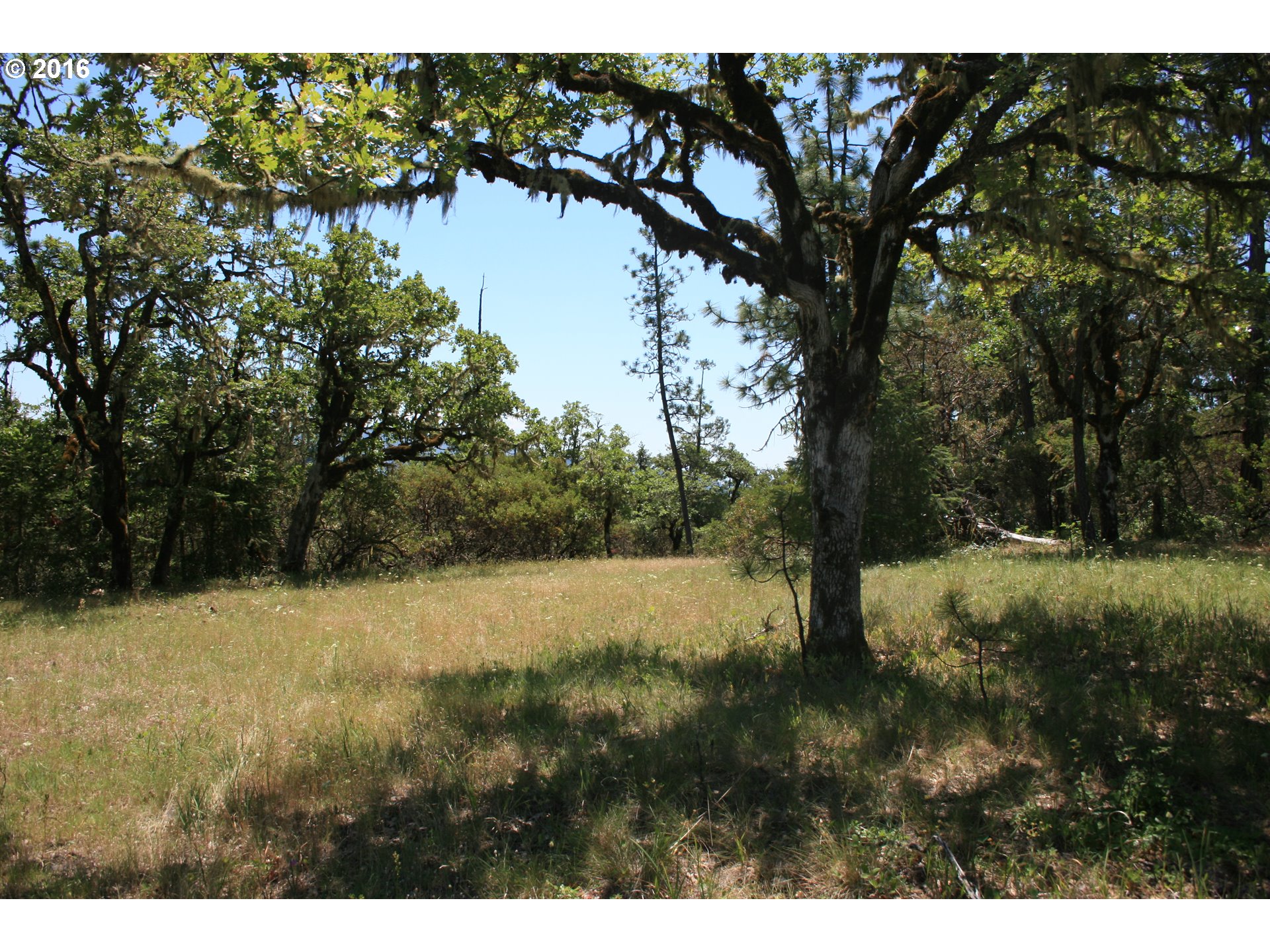 0 Citadel Rd Property Photo 13