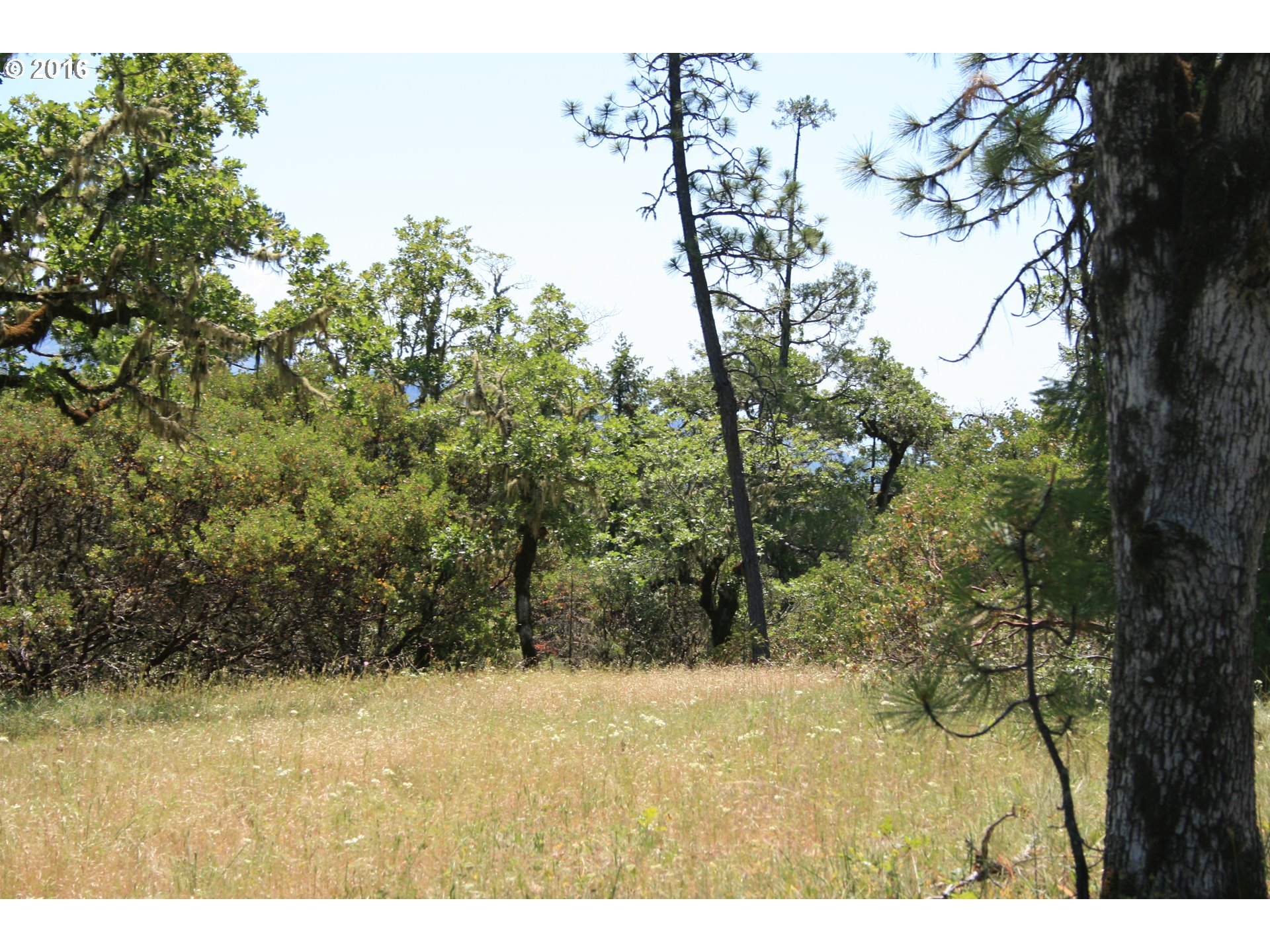 0 Citadel Rd Property Photo 14