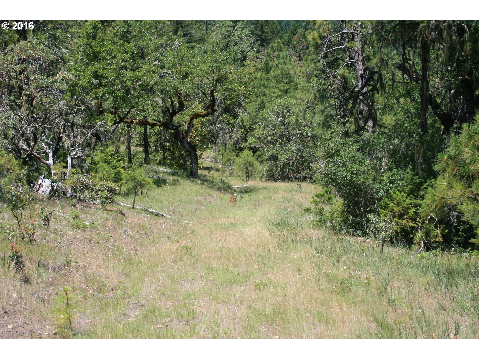 0 Citadel Rd Property Photo 15