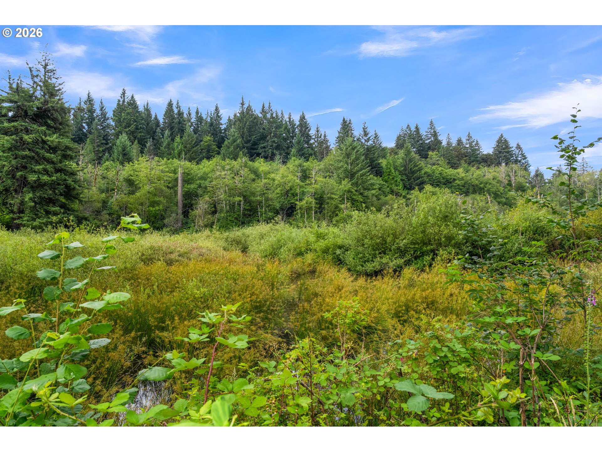 3832 Ne Cavitt Rd Property Photo 41
