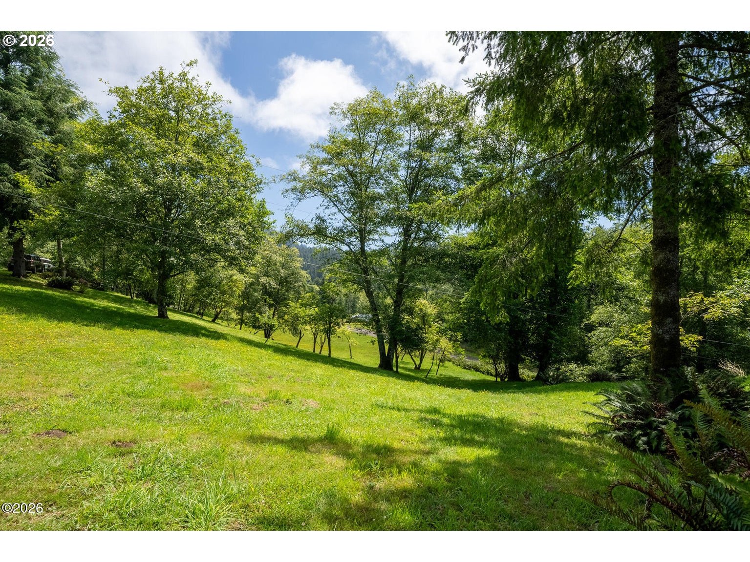 1150 Skyline Dr Property Photo 39
