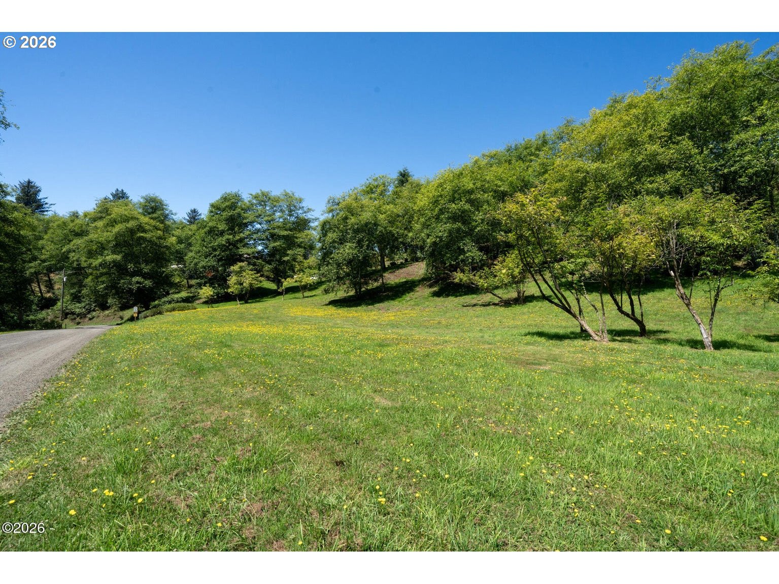 1150 Skyline Dr Property Photo 43