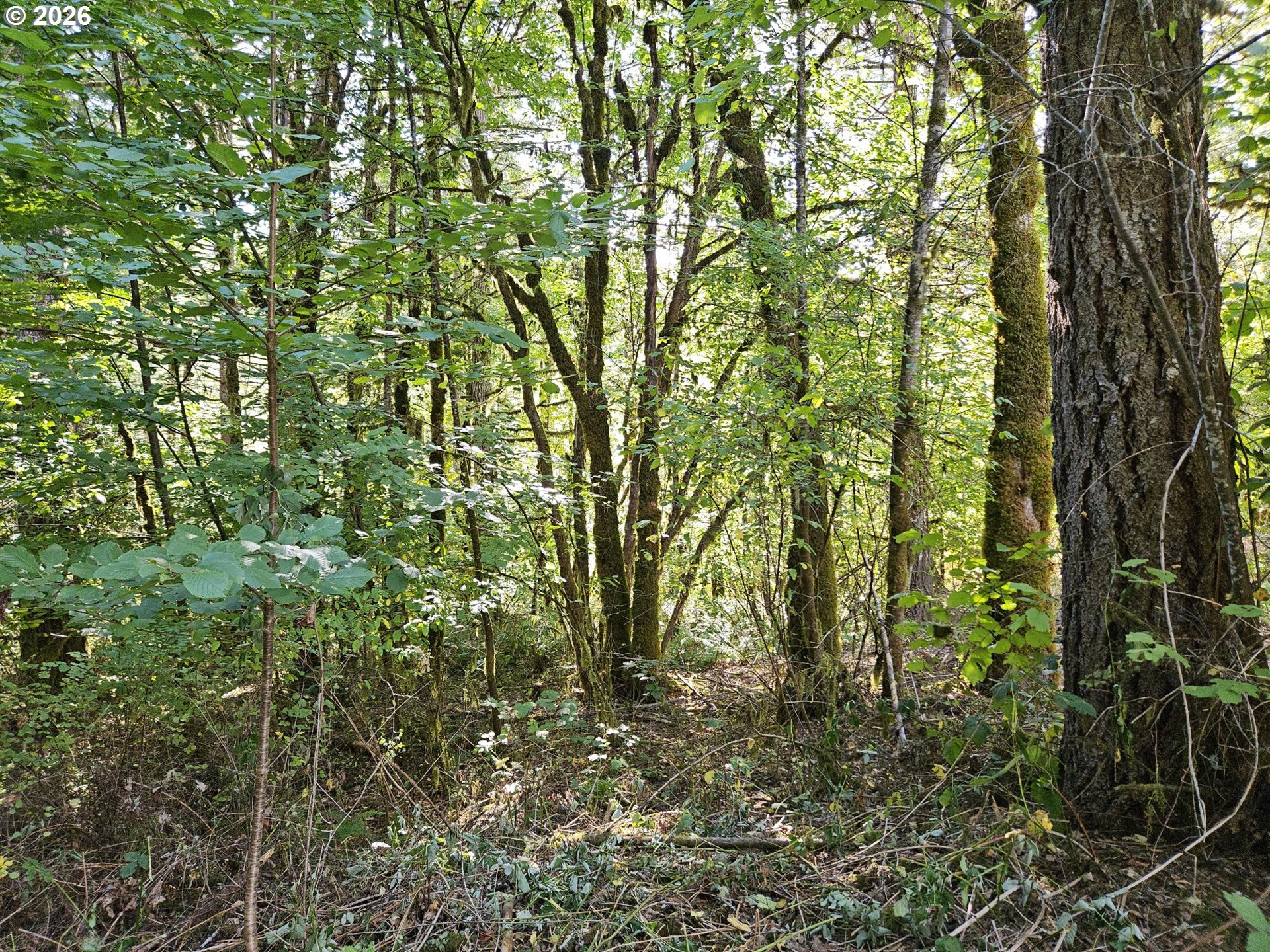 27311 Sw Smithville Rd Property Photo 21