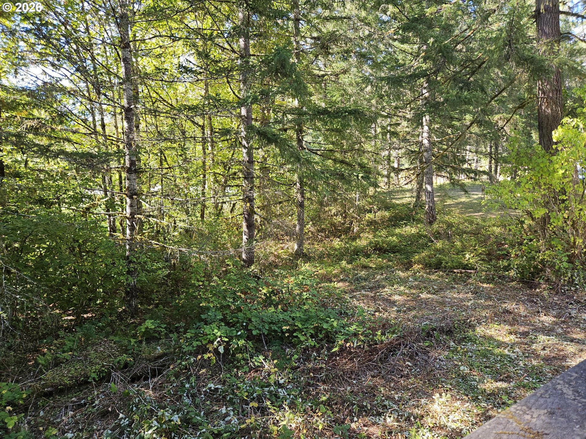 27311 Sw Smithville Rd Property Photo 22