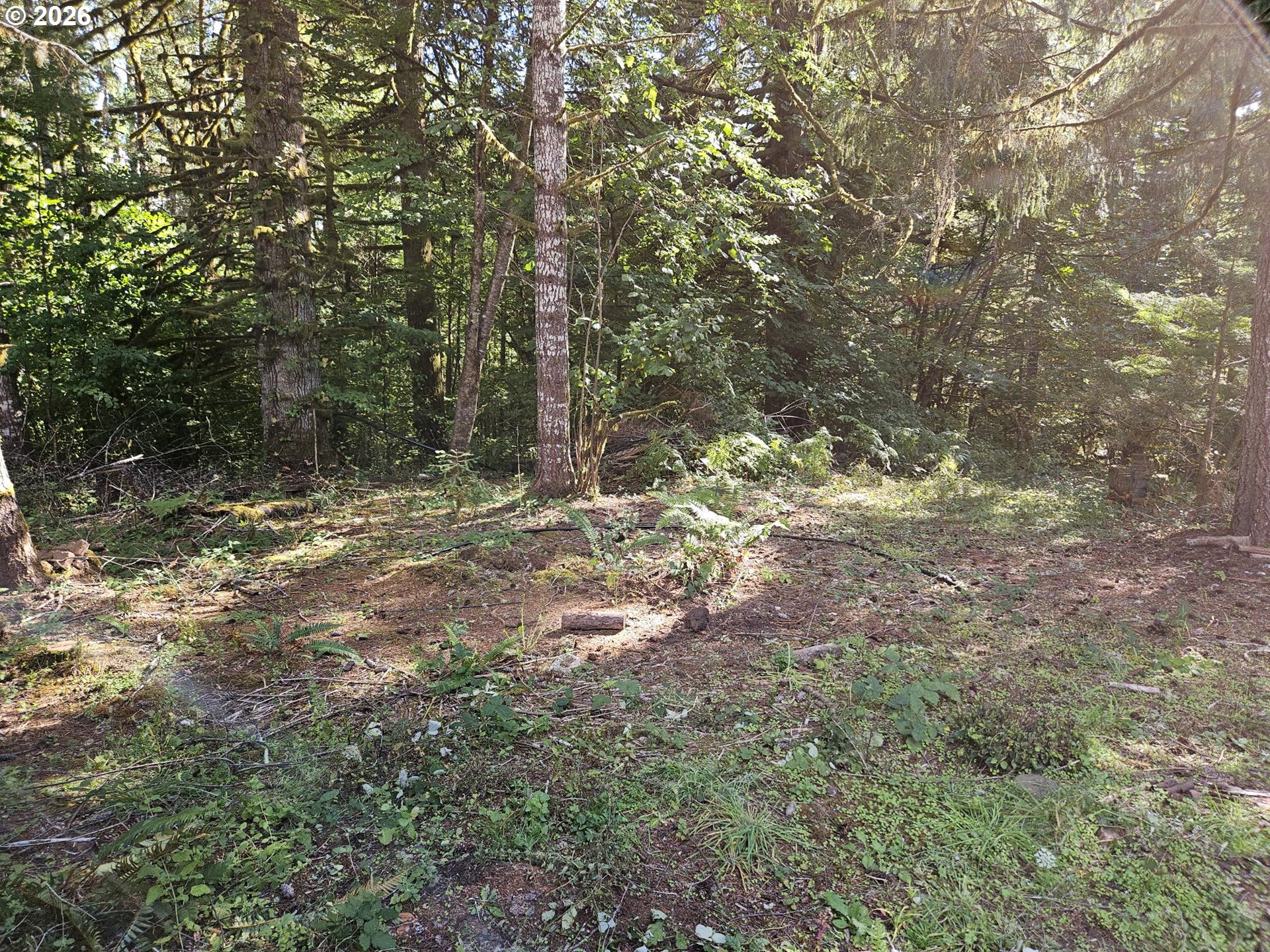 27311 Sw Smithville Rd Property Photo 23