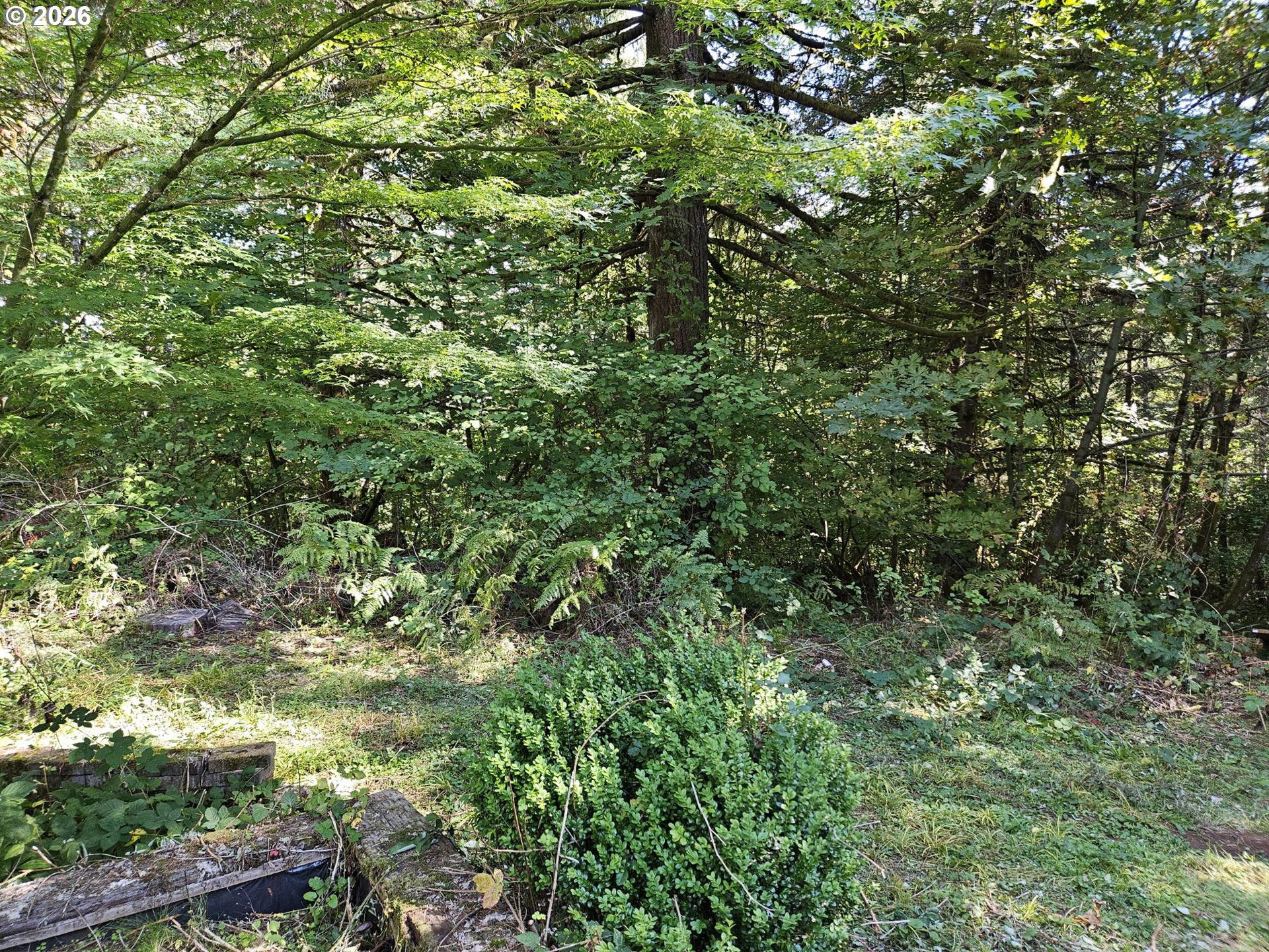 27311 Sw Smithville Rd Property Photo 24