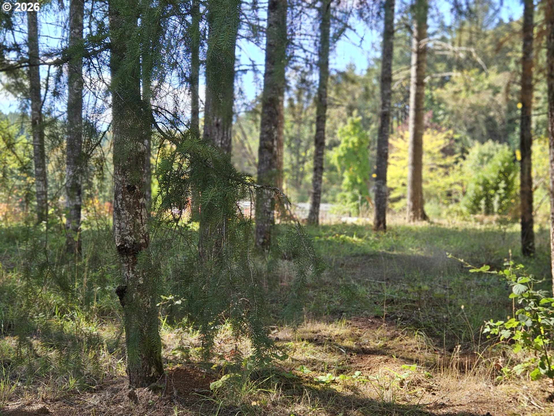 27311 Sw Smithville Rd Property Photo 25