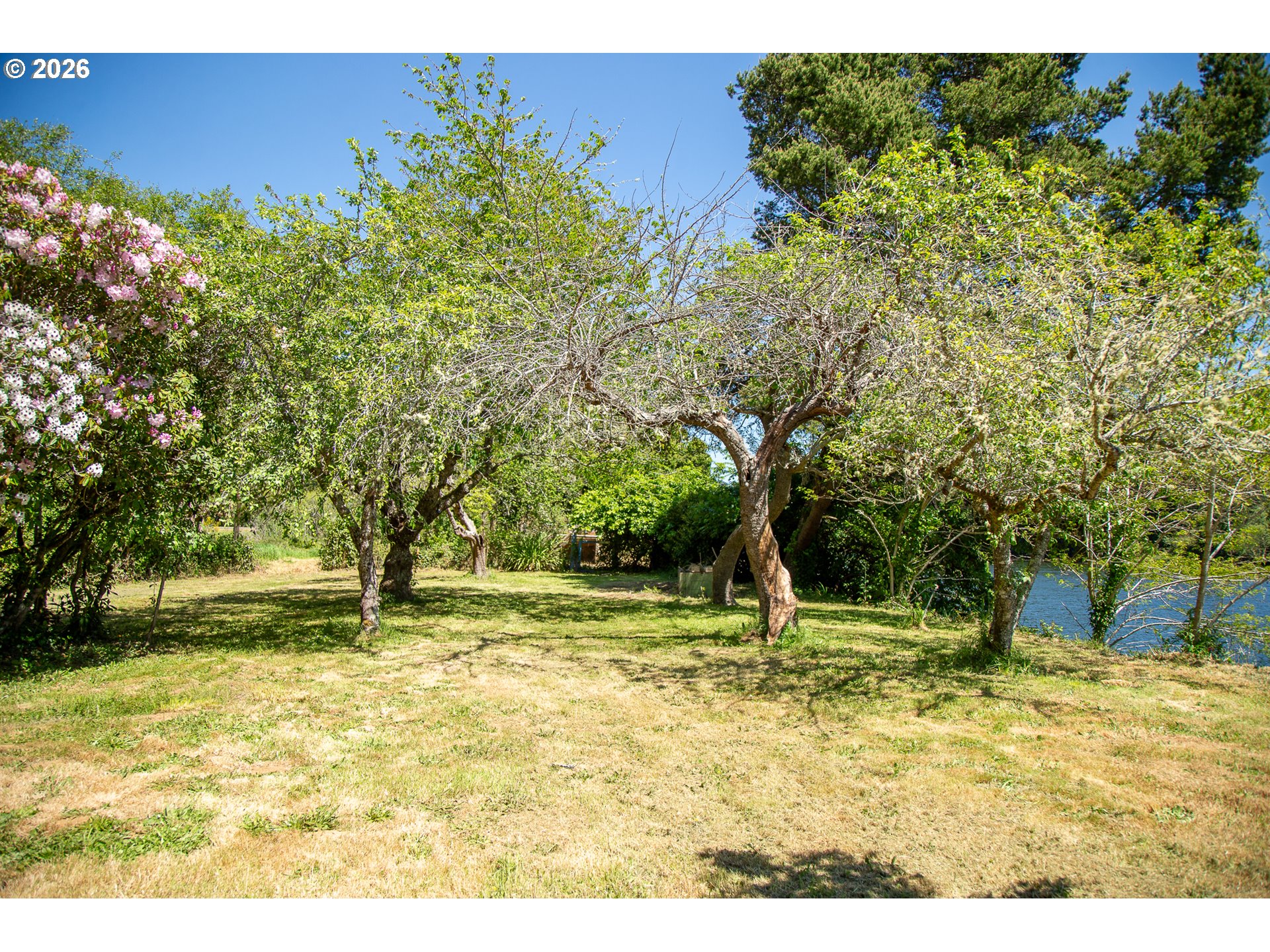 8136 Highway 126 Property Photo 24