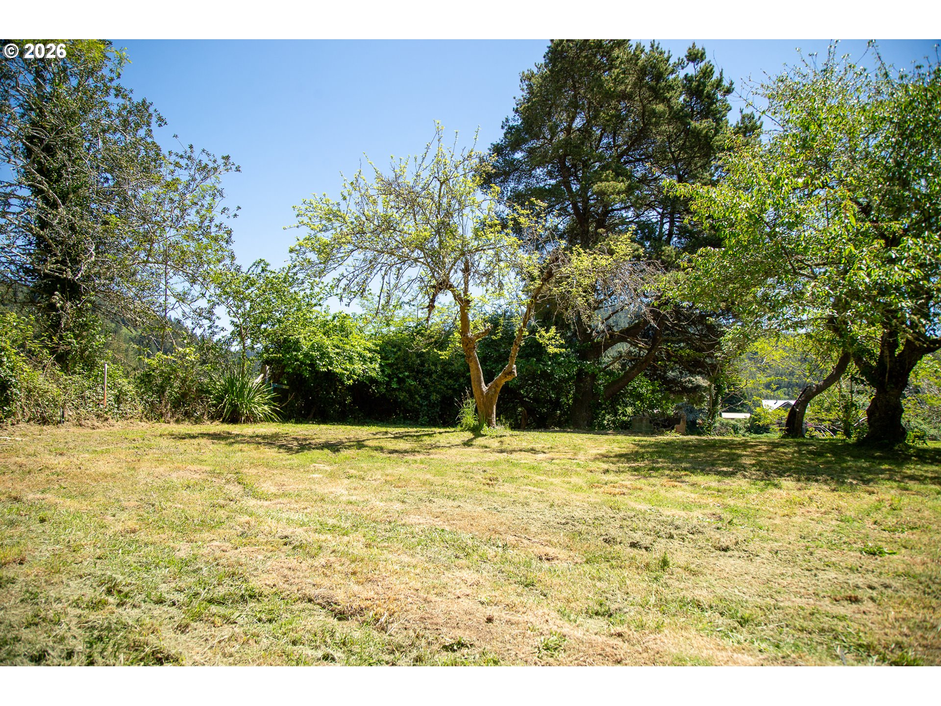 8136 Highway 126 Property Photo 25