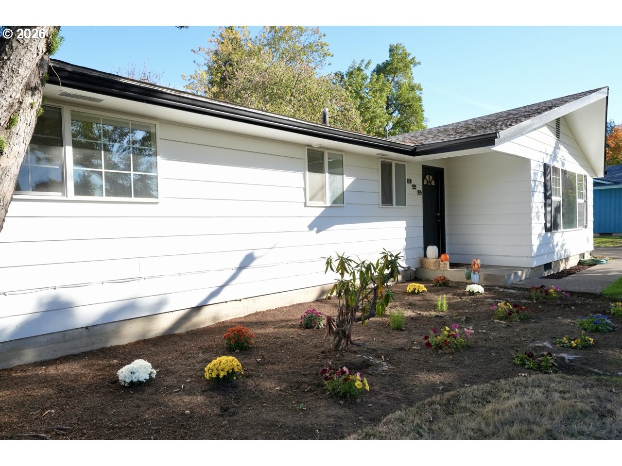 829 Rossmore St Property Photo 5