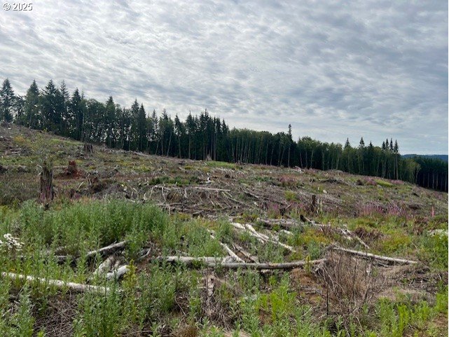 Northrup Creek RD