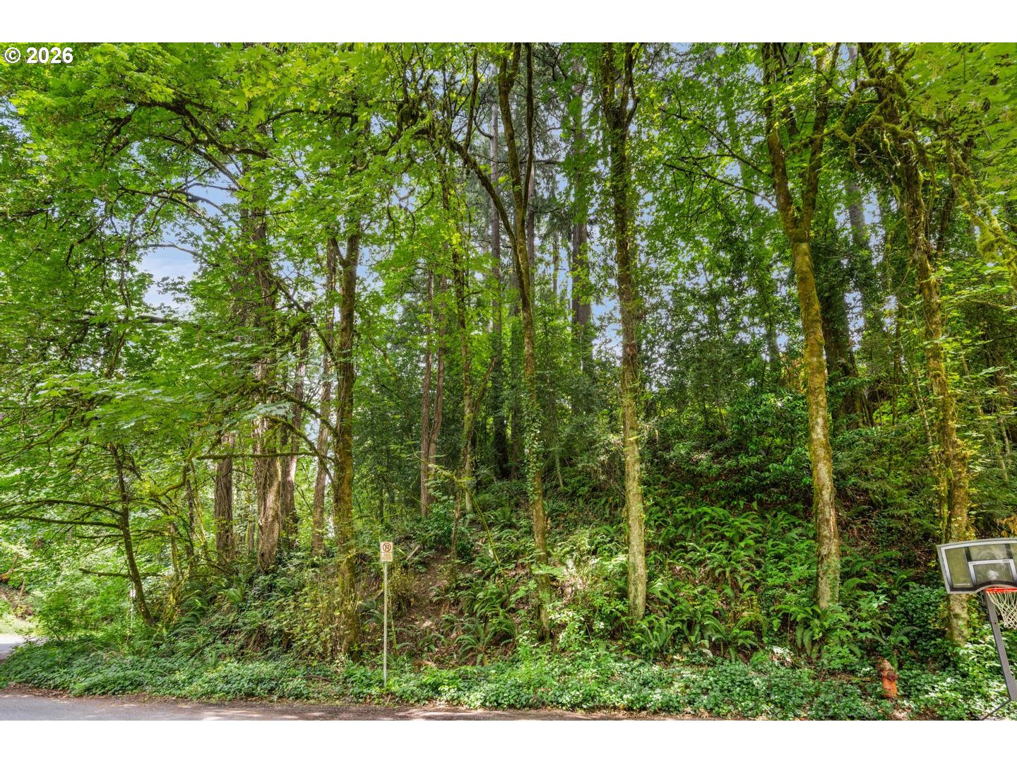 0 Sw Upper Dr Property Photo 10