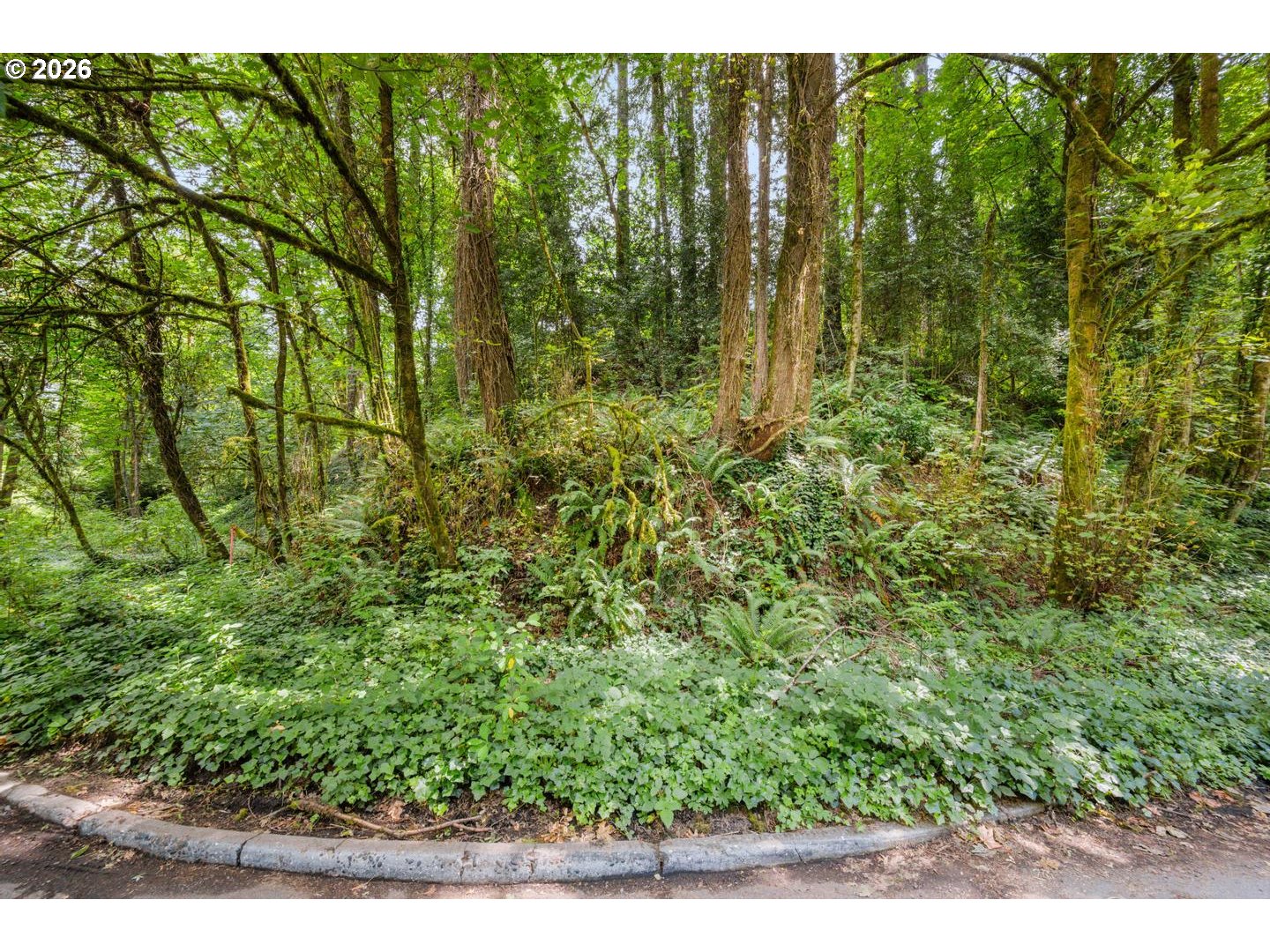 0 Sw Upper Dr Property Photo 11