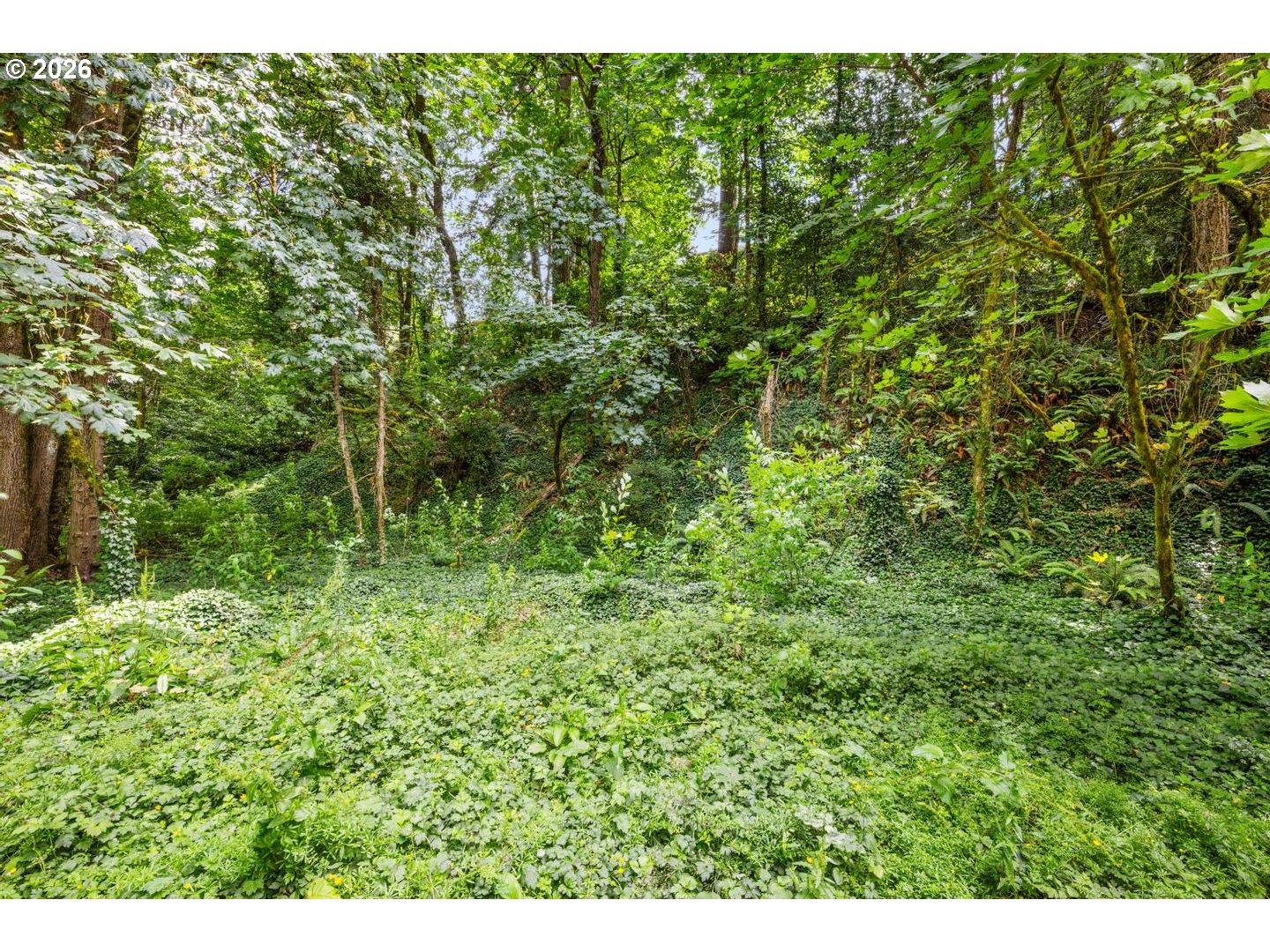 0 Sw Upper Dr Property Photo 14