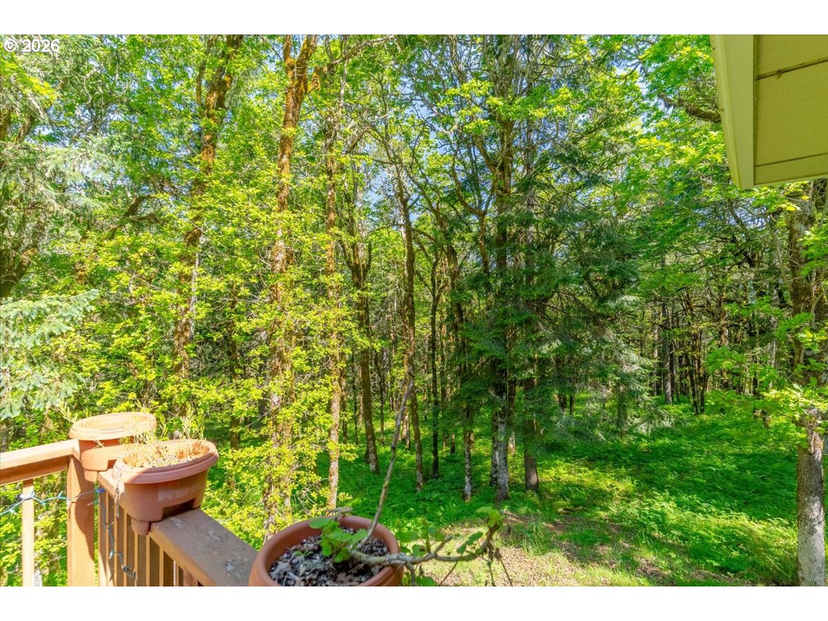 15577 Oakdale Rd Property Photo 41