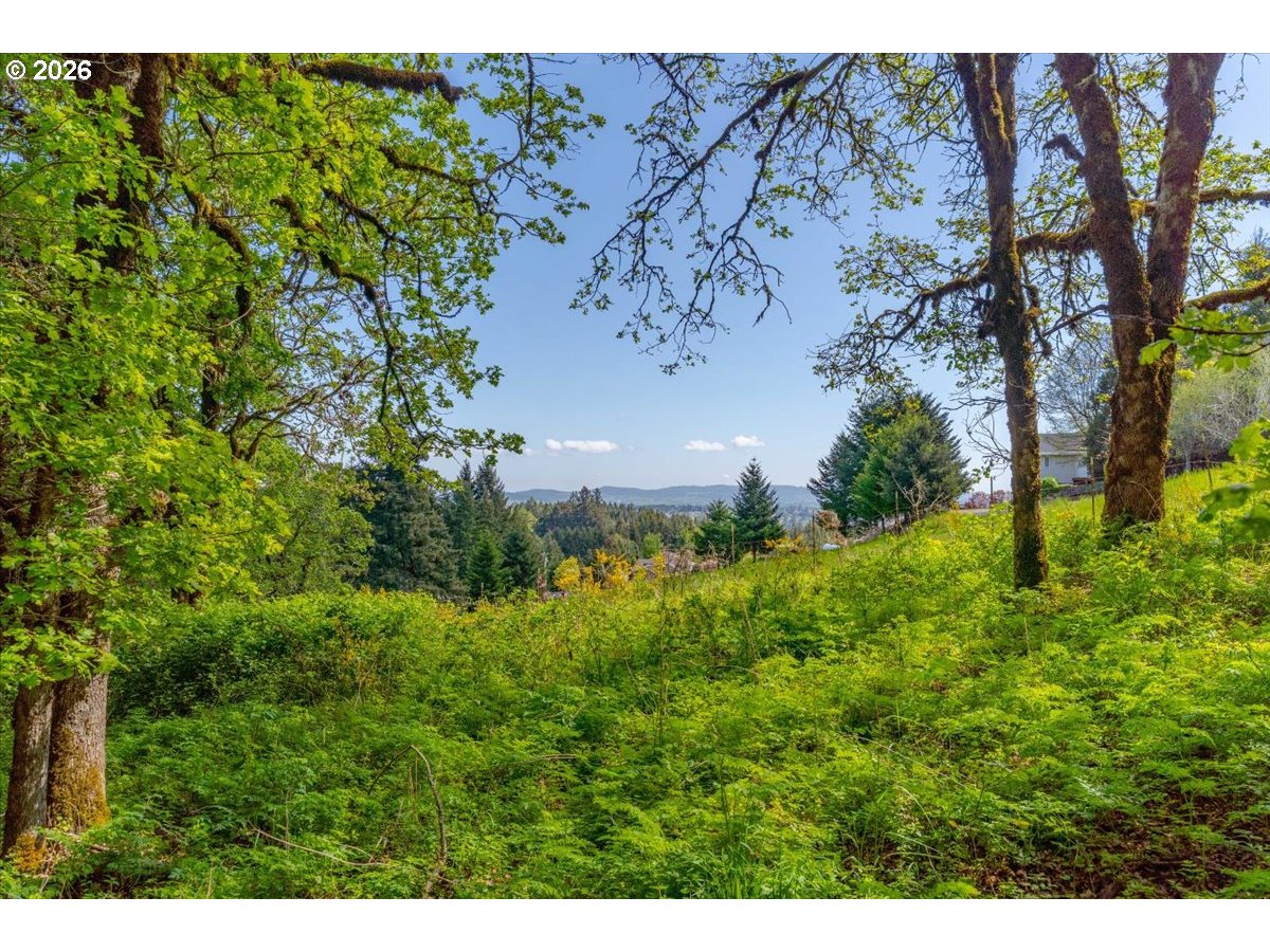 15577 Oakdale Rd Property Photo 43