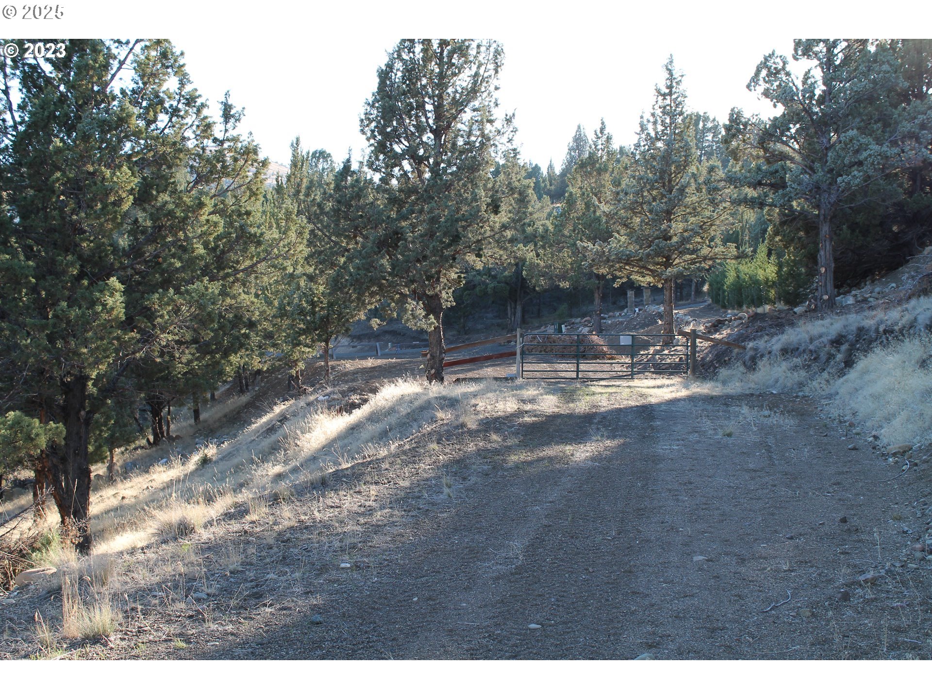 0 Cougar Ridge Road Property Photo 1