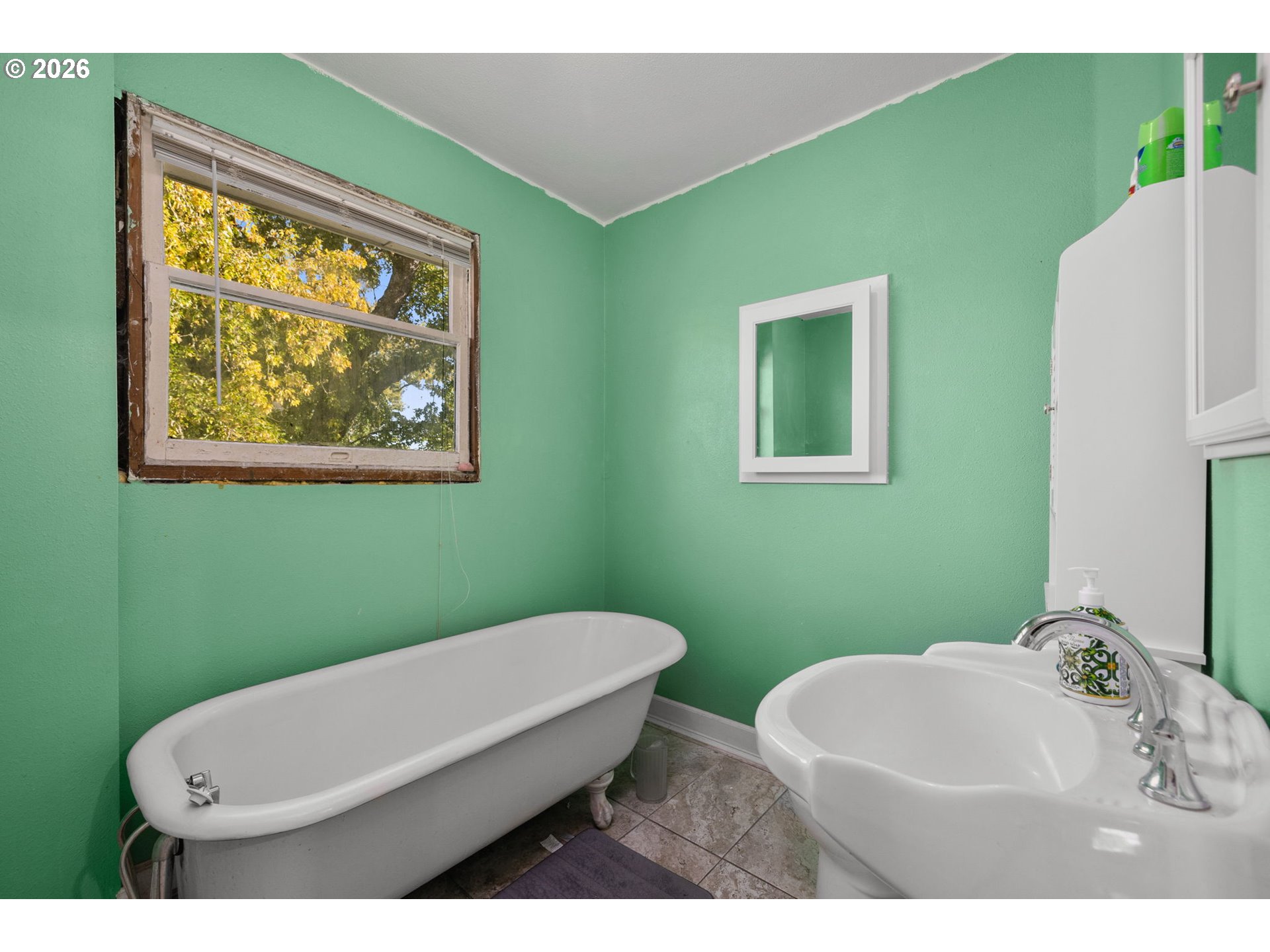 1515 S Alpine St Property Photo 33