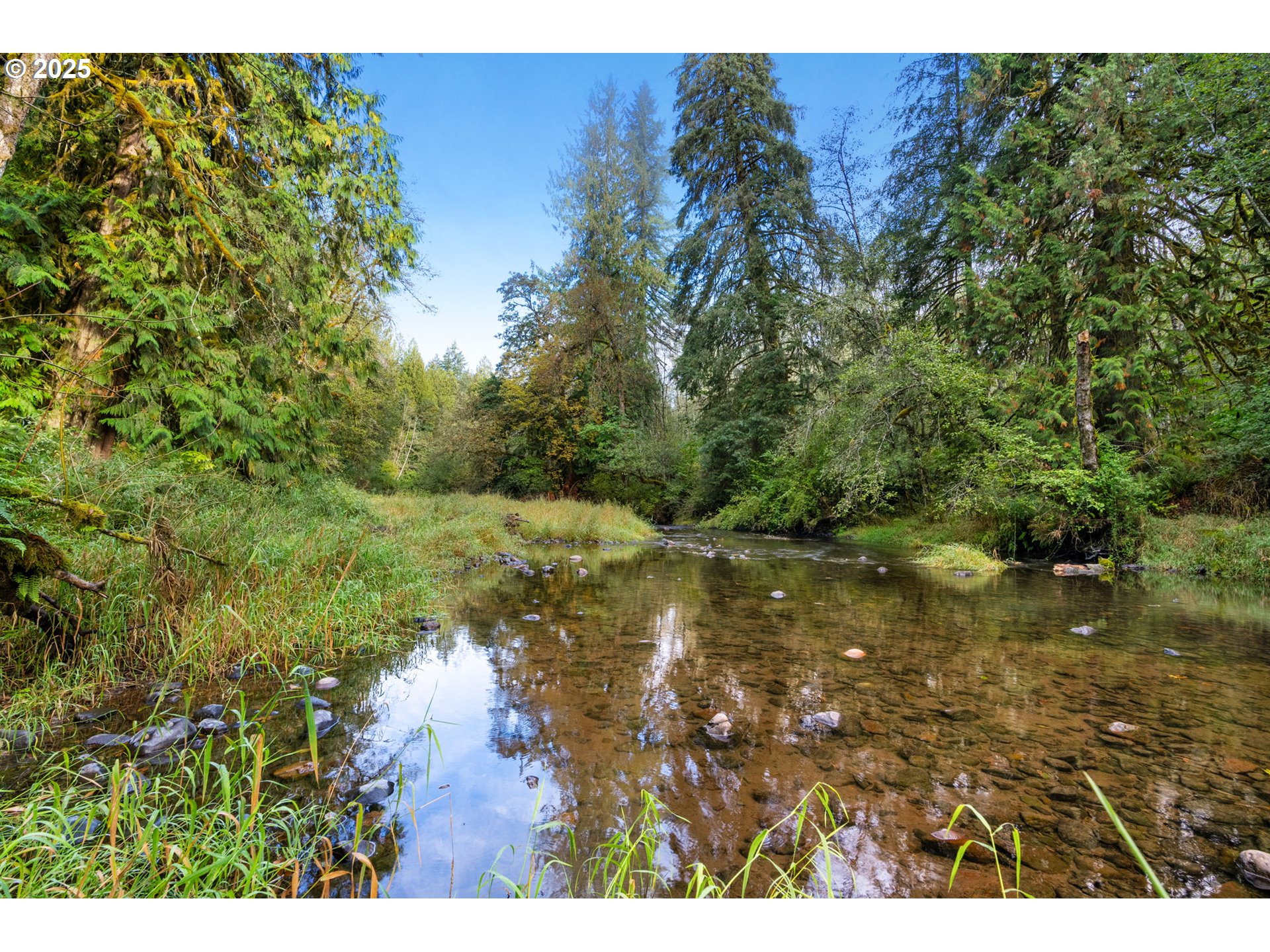 0000 NE Cedar Creek RD