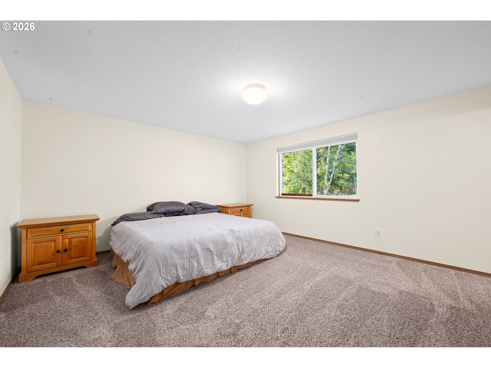 42020 Forest Court Ln Property Photo 25