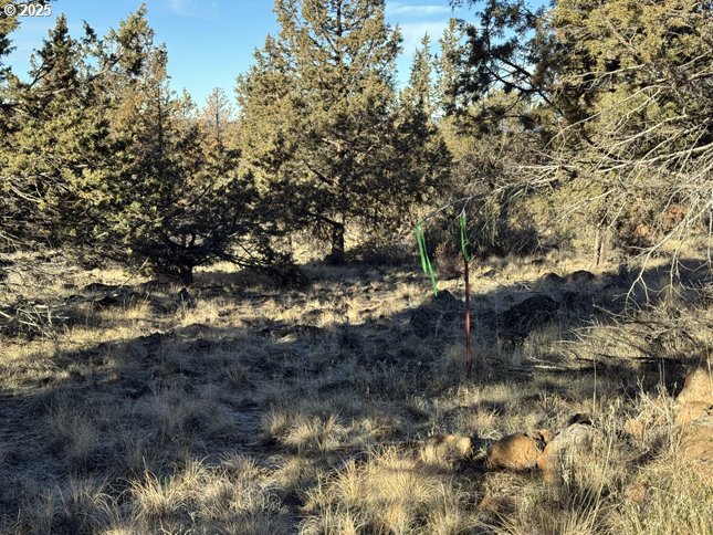 Canvasback Dr 5 Property Photo 2