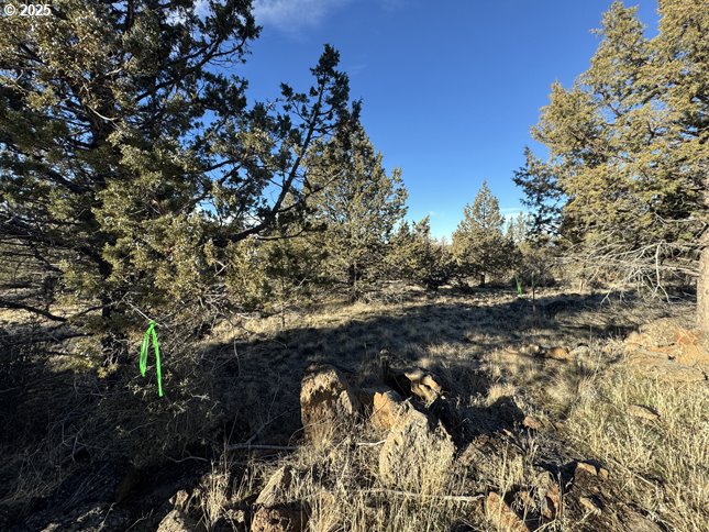 Canvasback Dr 5 Property Photo 3