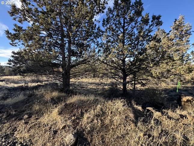 Canvasback Dr 5 Property Photo 4