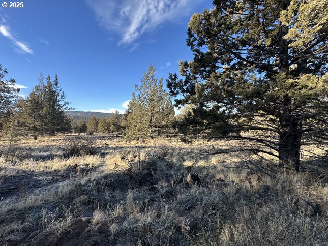 Canvasback Dr 5 Property Photo 6
