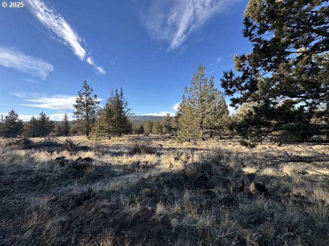 Canvasback Dr 5 Property Photo 7