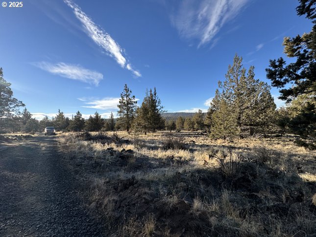 Canvasback Dr 5 Property Photo 8