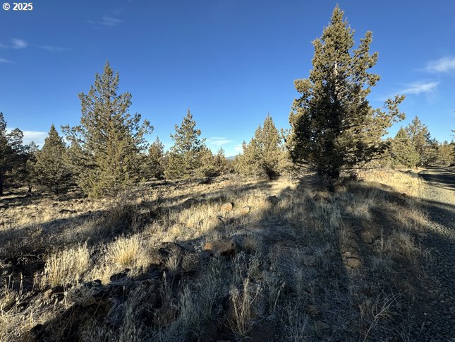 Canvasback Dr 5 Property Photo 9